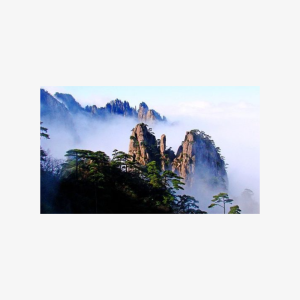 2-Day Huangshan and Hongcun Village Private Tour from Shanghai by Bullet Train